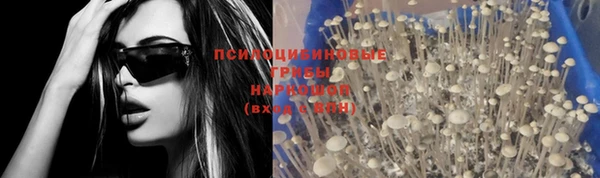 кокс Зерноград