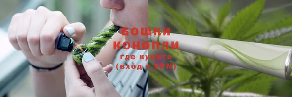 шишки Зеленодольск